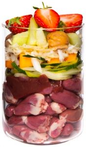 Foto Terra Canis - Grain Free all'Anatra con Zucca, Fragole e Sambuco da 400gr