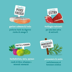 Foto Edgard & Cooper Salmone e Tacchino MULTIPACK da 11 x 150 g