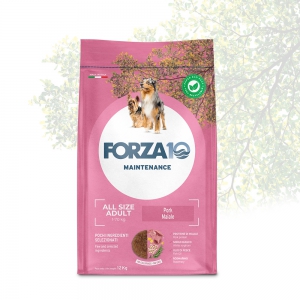 Foto Forza 10 - Maintenance Adult All Size con Maiale da 12 Kg