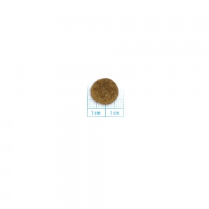 Foto Forza 10 - Maintenance Adult All Size con Maiale da 12 Kg