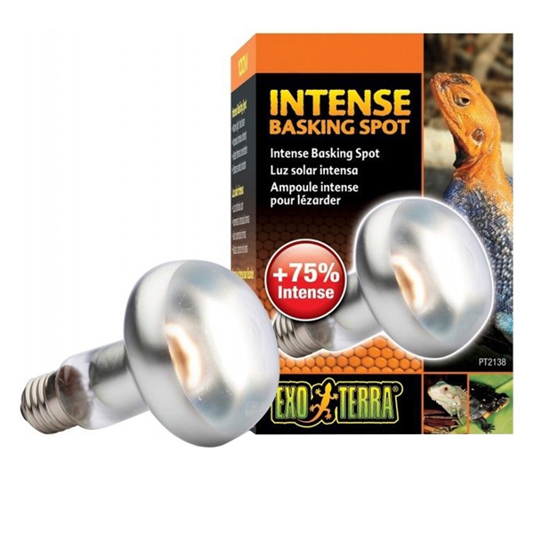 Foto Exo Terra - Intense Basking Spot Lampada Luce Solare 100 W